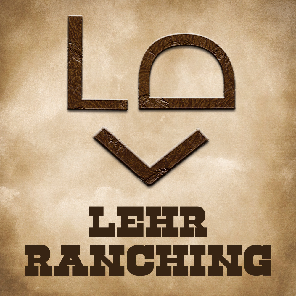 Lehr Logo